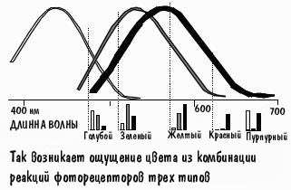 bk7p215.jpg 16.2 K